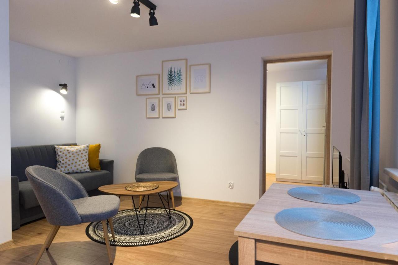 Apartment Szyszka *