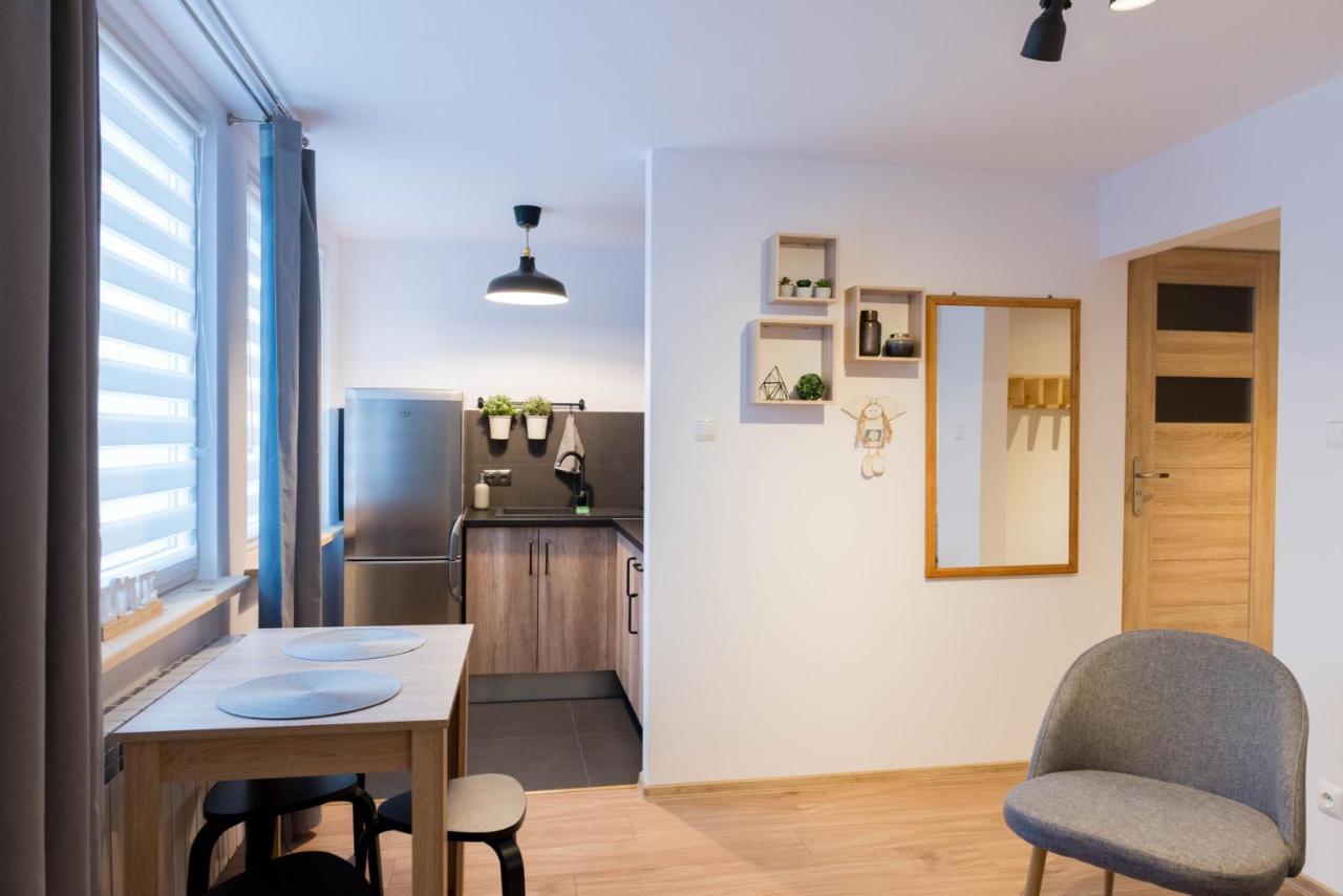 Szyszka Apartment Ustrzyki Dolne